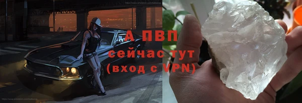 гидра Алексеевка