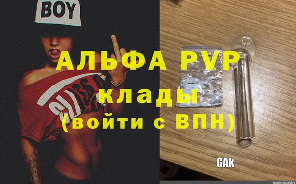 амф Алзамай