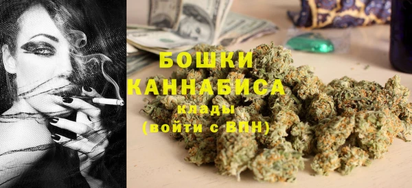 гидра Алексеевка