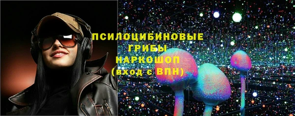 гидра Алексеевка